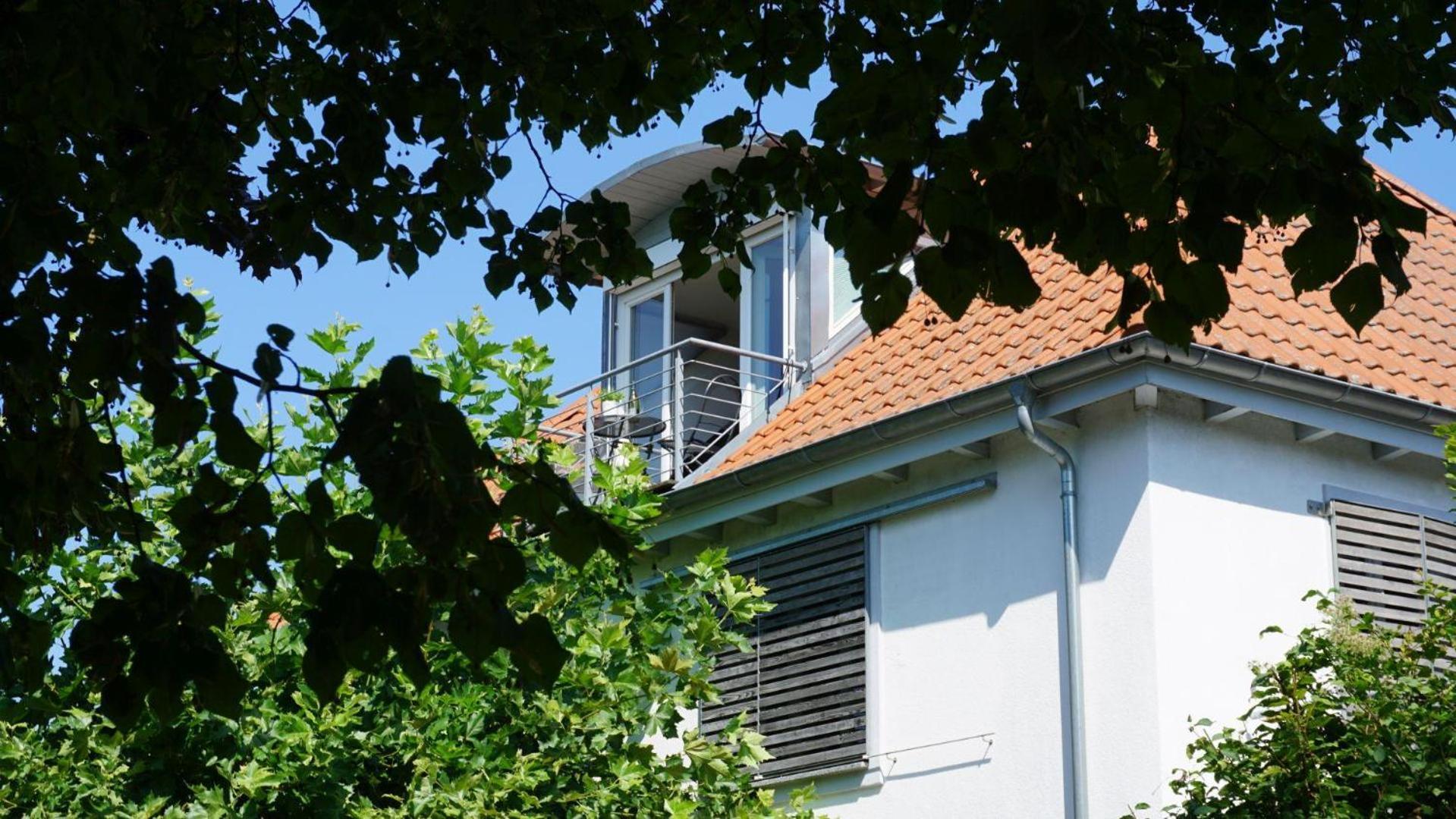 Ferienwohnung Weitsicht 미르스부르크 외부 사진